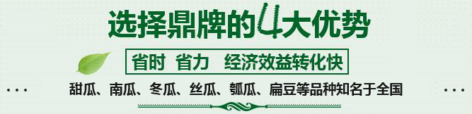 購(gòu)買蔬菜種子，選擇鼎牌的四大優(yōu)勢(shì)