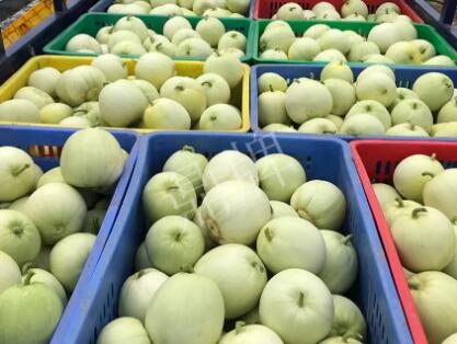蔬菜種子種植戶客戶點評-5元1斤，這個新品種真香甜！