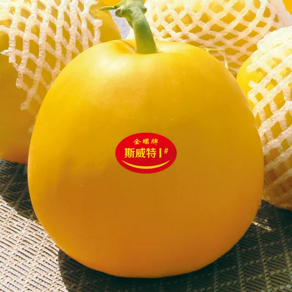 薄皮甜瓜，哪個品種最好呢？畝產(chǎn)高達(dá)10萬，附4種市場爆款品種