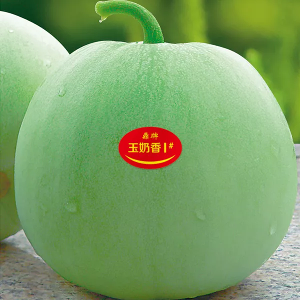薄皮甜瓜，哪個品種最好呢？畝產(chǎn)高達(dá)10萬，附4種市場爆款品種