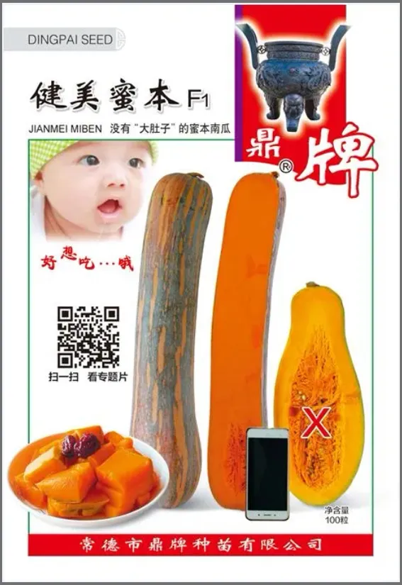 3元1斤的健美蜜本南瓜快成熟了，緬甸種植戶(hù)發(fā)來(lái)圖片與視頻