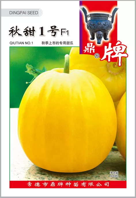 高溫季節(jié)種植甜瓜，什么品種最好？這個品種是秋季上市的專用品種