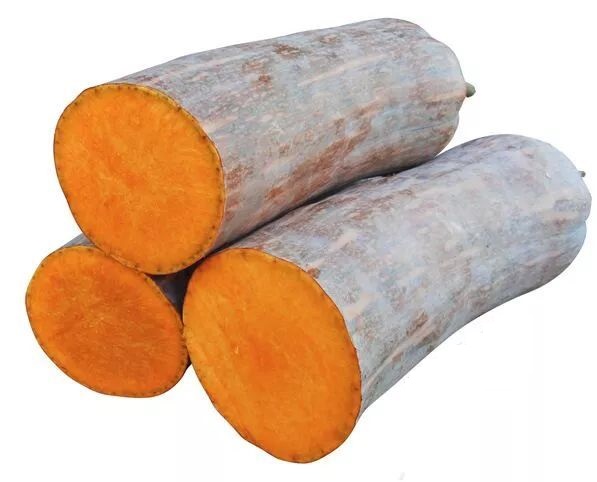生吃都好吃南瓜新品種，沒(méi)有大肚子，肉質(zhì)更密致，農(nóng)戶試種下