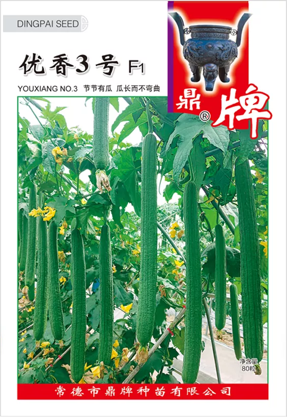 它是絲瓜種植戶的新選擇，節(jié)節(jié)有瓜，瓜長而不彎曲