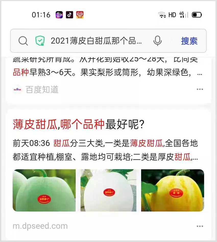 河南焦作的李向林今年種植甜瓜新品種，客戶直接拉貨走人