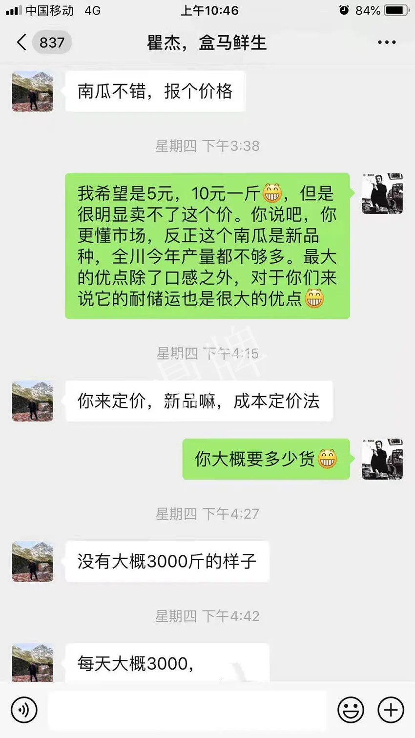 四川農(nóng)戶今年種“健美蜜本”南瓜產(chǎn)量高，品質(zhì)好，感覺巴適得很