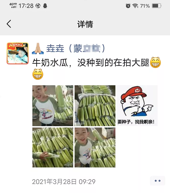 這個(gè)絲瓜每畝能掙3萬，沒種植的農(nóng)戶后悔得拍大腿