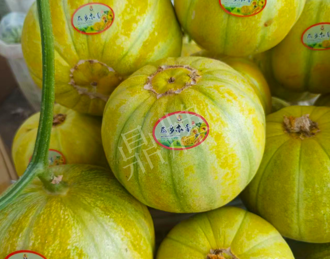 蔬菜種子種植戶(hù)客戶(hù)點(diǎn)評(píng)-這個(gè)甜瓜熟透了都不裂瓜，在新疆賣(mài)14元每公斤！