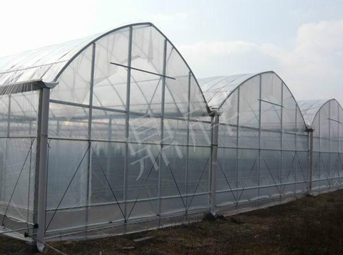蔬菜種子種植戶客戶點評-鼎牌瓠瓜上市早，地頭批發(fā)價達到8元/斤，種植基地王老板告訴您！